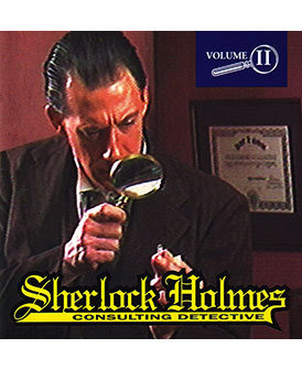 Sherlock Holmes: Consulting Detective II